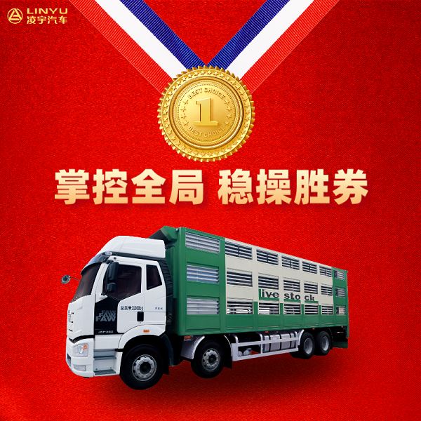 凌宇汽车